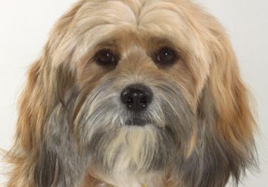 CinemaDope: Full Spectrum