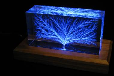 Art in Paradise: In the Trees