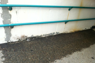 Saving a School in Springfield