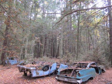 Scene Here: Where the Good Cars Go