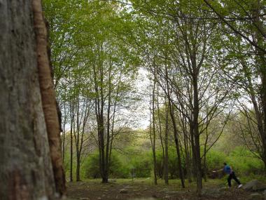 Is This Land Our Land?