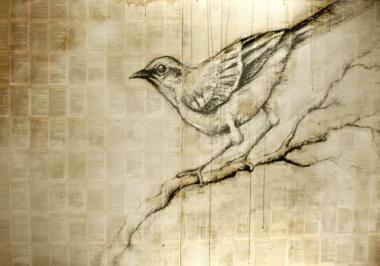 “Shoot All the Bluejays You Want”