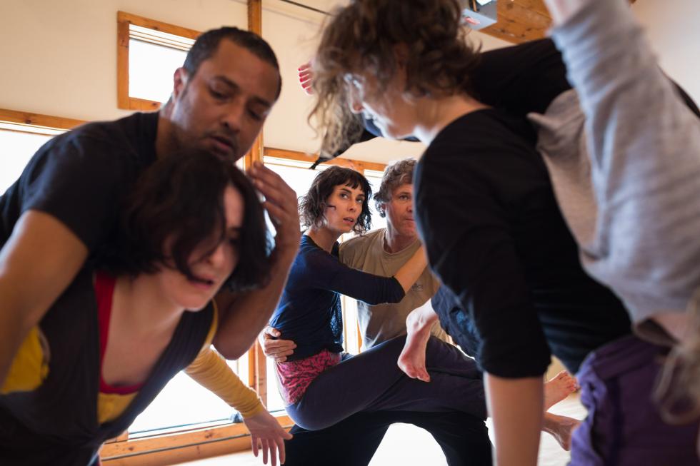 Falling  With Grace: The art of contact improvisation
