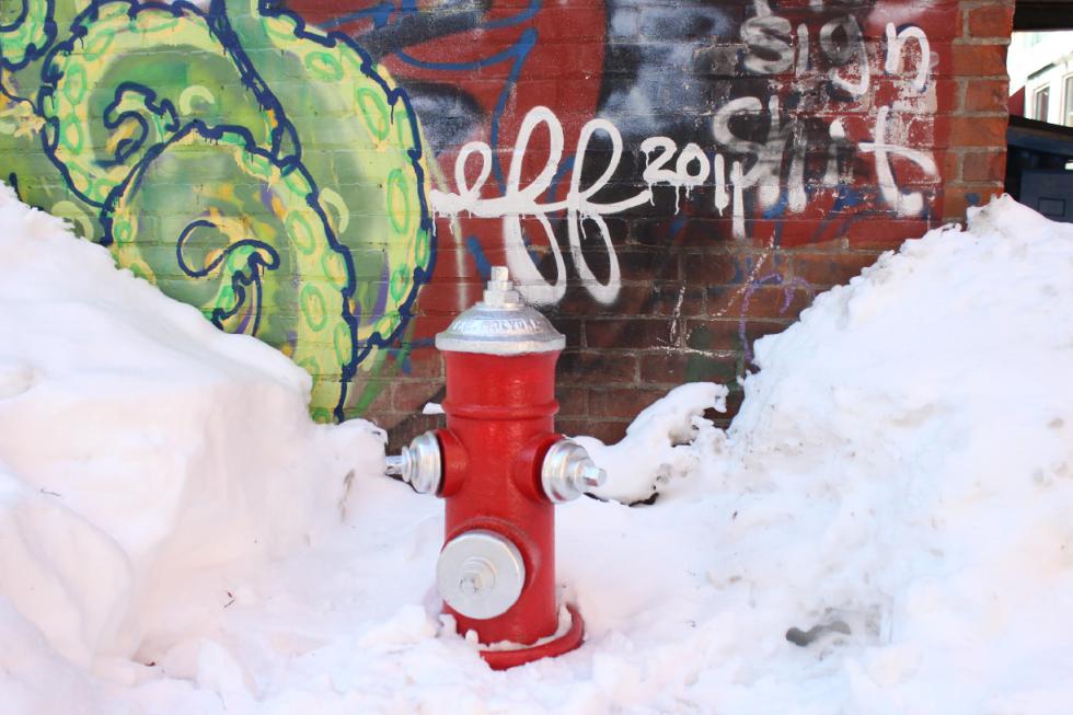Adopt-A-Hydrant  Northampton residents clamor to  claim orphan hydrants