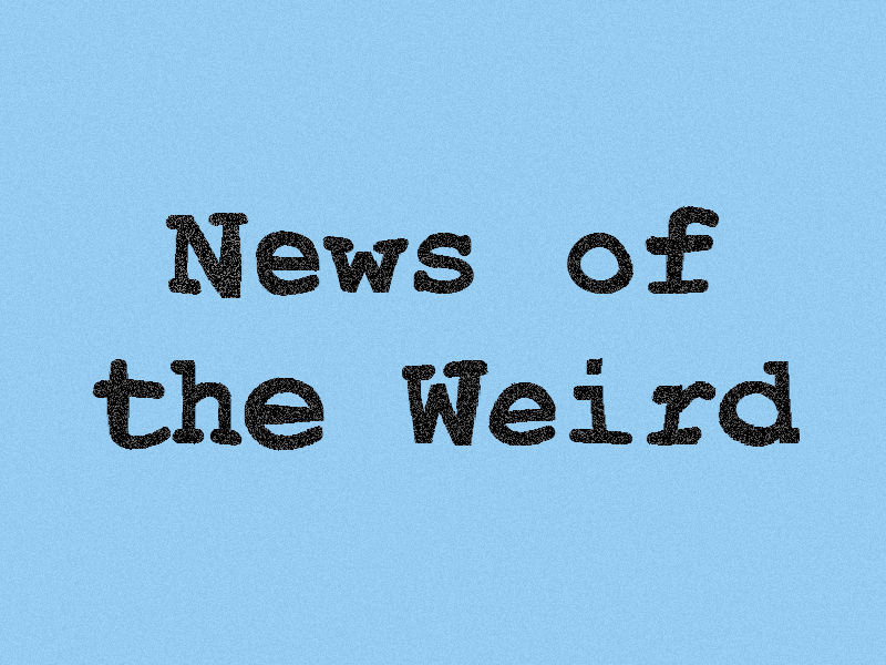 News of the Weird: Work of a Researcher