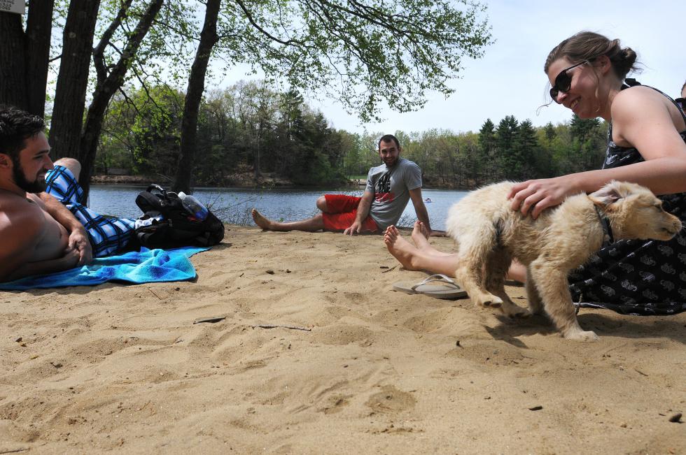 KEVIN GUTTING Devin Guevin, left, of Irving, Rilee Zeiner of Amherst and Kara Bassett of Northampton enjoy the company of Zeiner's three-month-old golden retriever, Duke, during a visit to Puffer's Pond Conservation Area on Saturday. Though temperatures in the 80s brought a score of people to the pond, the chilly water kept most on shore. - KEVIN GUTTING | DAILY HAMPSHIRE GAZETTE