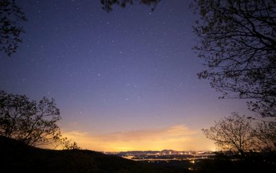 Free Will Astrology: Let Scott Hamilton inspire you, Virgo