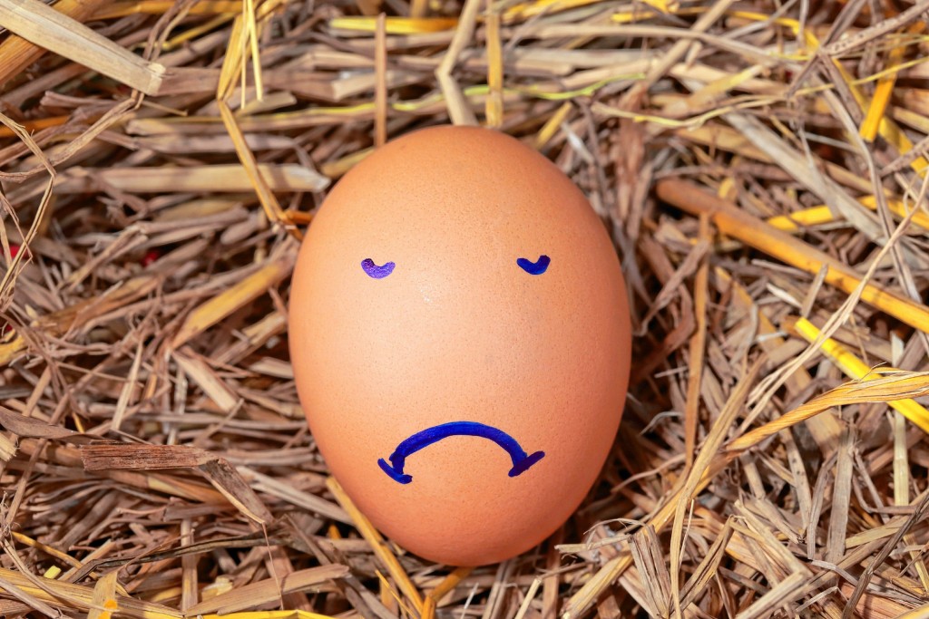 kristin palpiniEmotion of fresh eggs  on a straw.