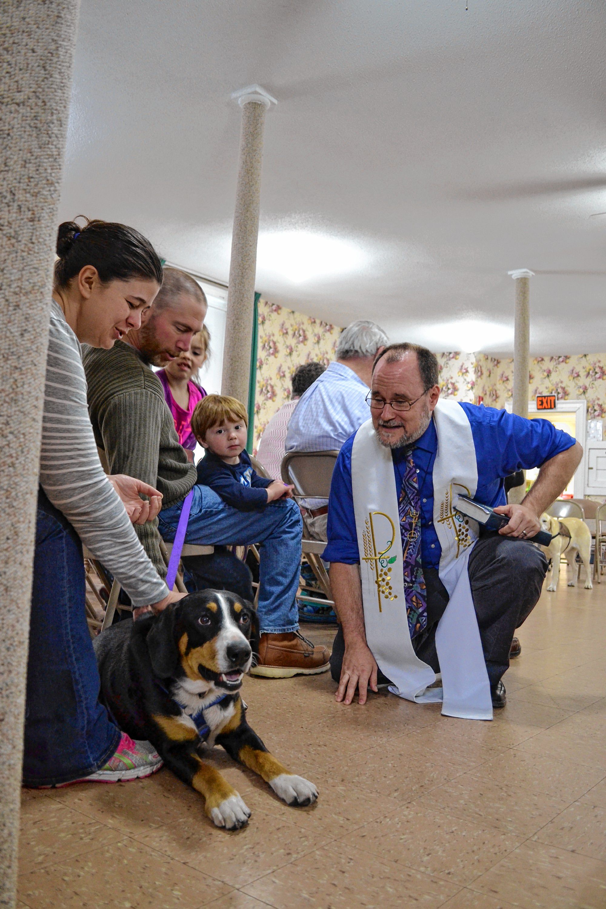 Scene Here – Service Animals