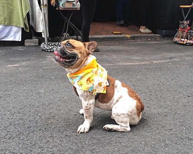 Saturday and Sunday: Mattoon Street Arts Festival in Springfield