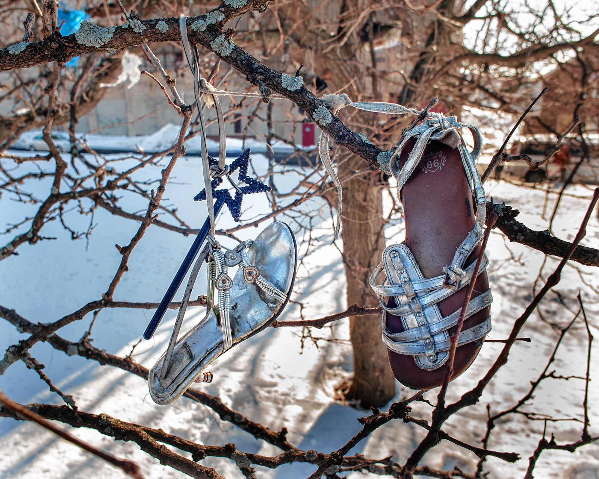 Frank Ward’s 46 Years of Holyoke Photos