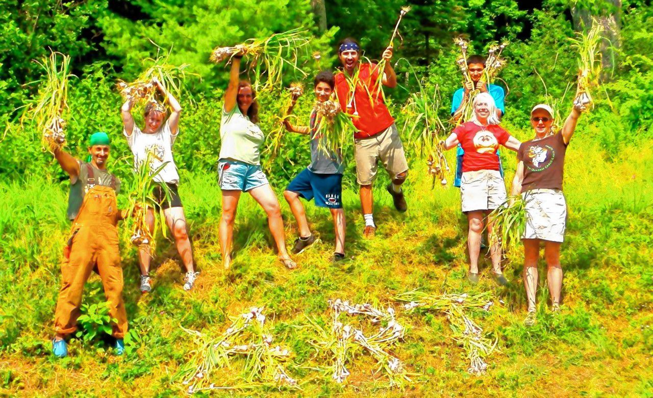 Scent-sational, the North Quabbin Garlic and Arts Fest this weekend in Orange