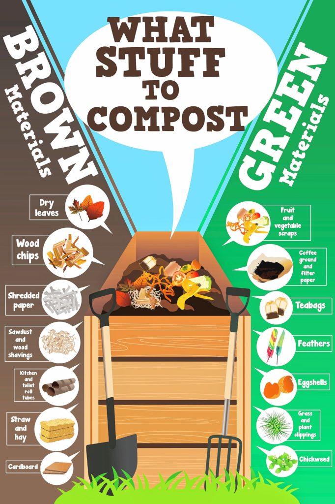 A vector illustration of what stuff to compost infographic