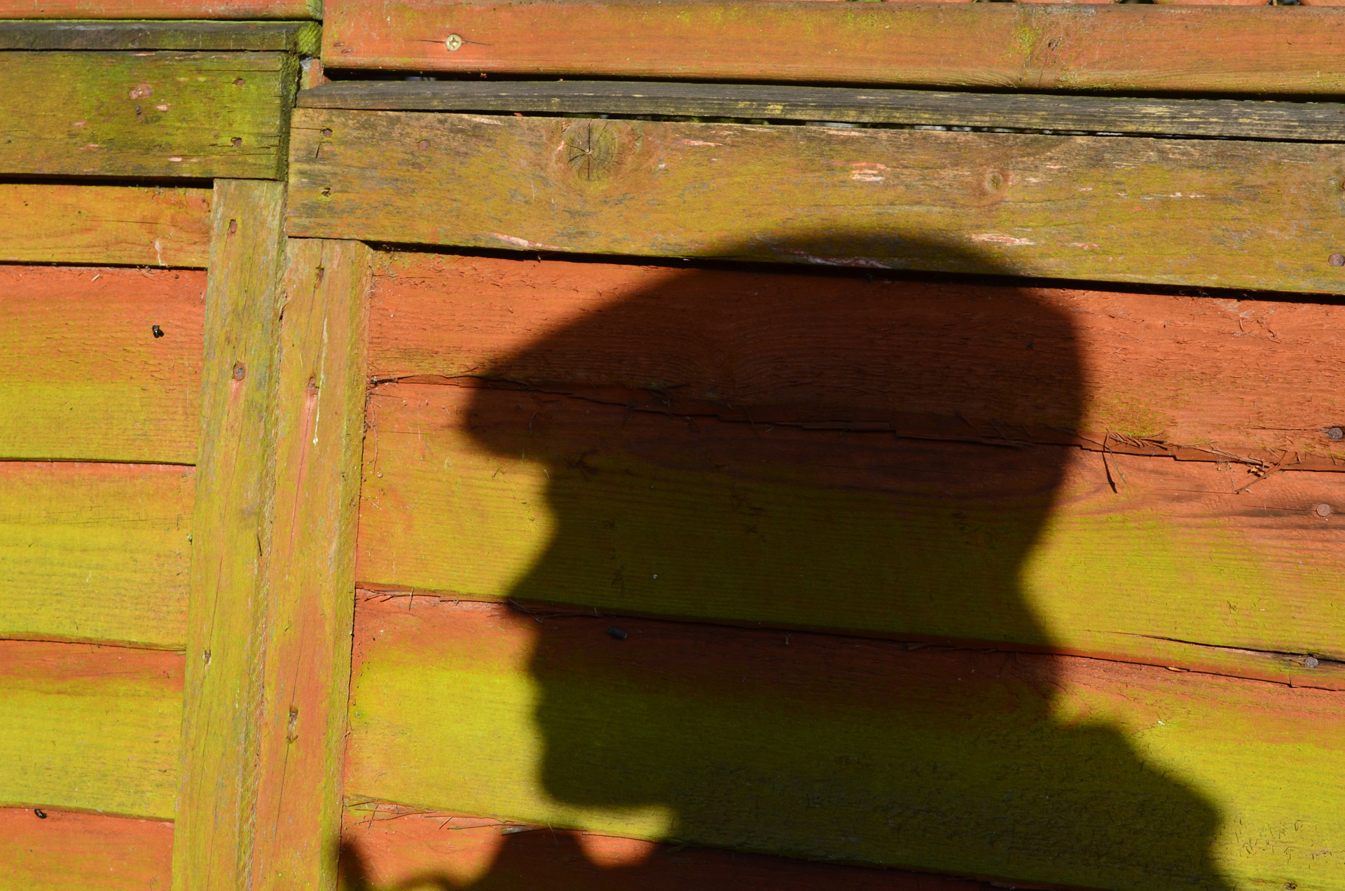 ‘It’s my own country’ In Springfield, an undocumented immigrant talks about fear and why he’s here