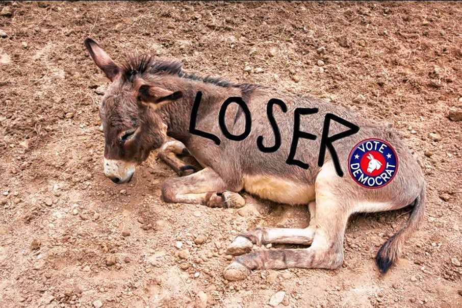 Sad donkey following Democratic losses in Georgia and South Carolina. Graphic by Jennifer Levesque.