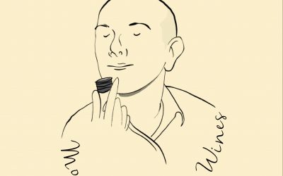 Monte Belmonte Wines: Your Election 2018 Wine Ballot