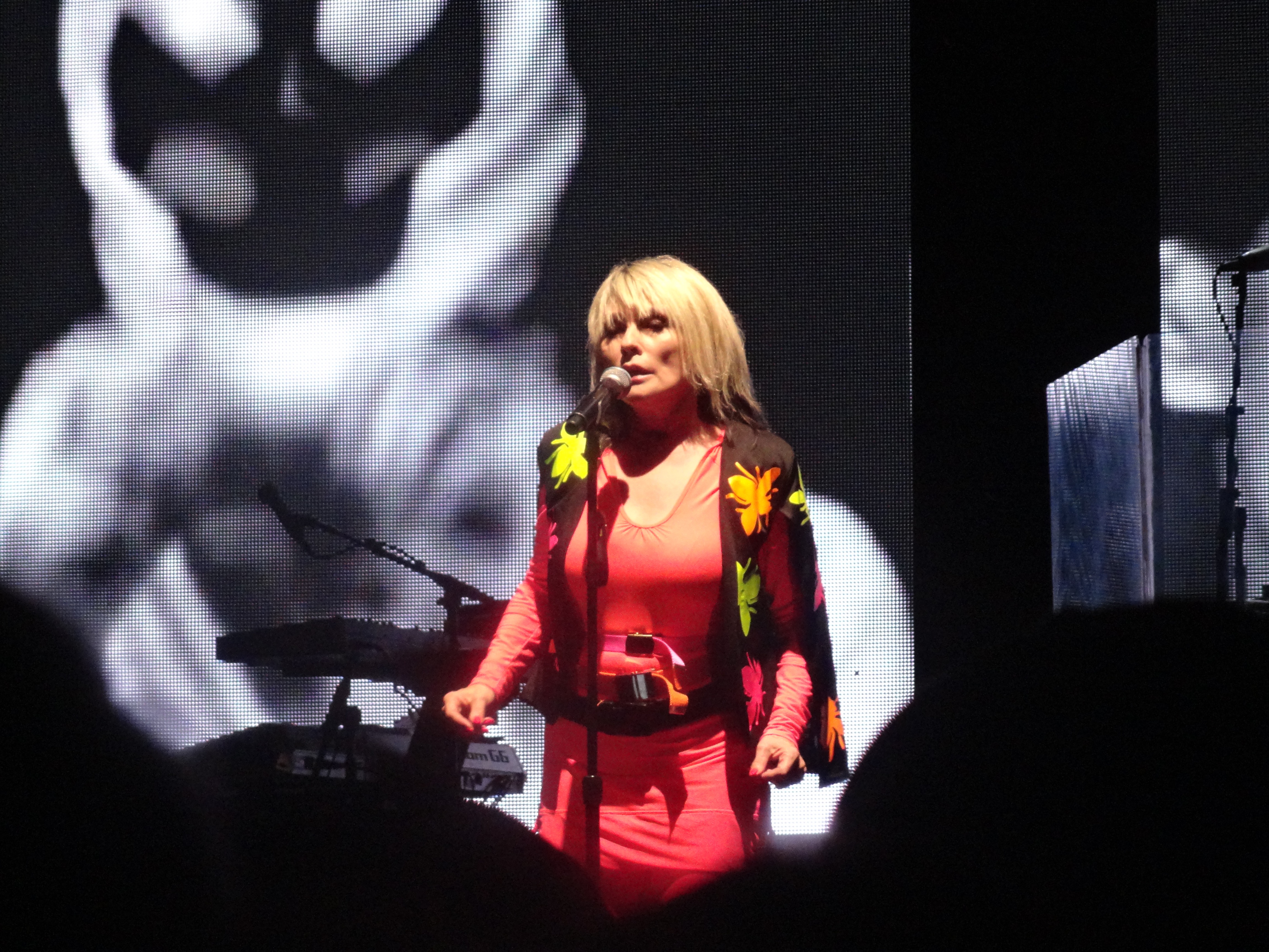 Valley Show Girl: Reliving childhood punk nostalgia with Blondie at MassMoCA