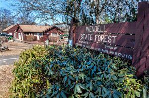 The Wendell State Forest park office and main entrance on Montague Road in Wendell on Thursday, April 4, 2019.