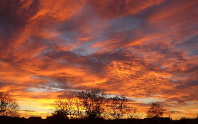 Letters from Our Readers: Poetry by Connolly Ryan