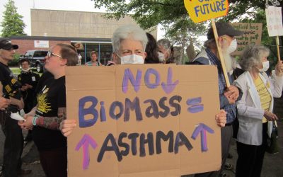 Letters to the Editor: Three reasons not to put a biomass burning plant in Springfield, and what to do about it