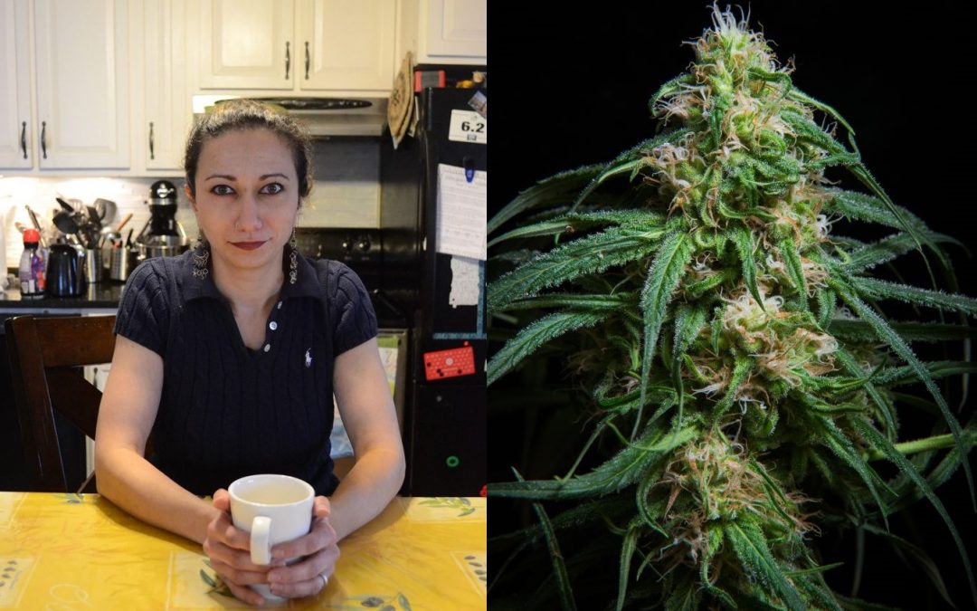 Valley Advocate Podcast: Growing your own cannabis and learning about dosing