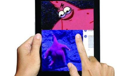 Bizarro Briefs: Do Starfish have Butts?