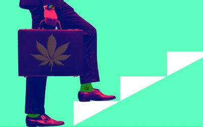 Can Small Business Survive in the World of Big Cannabis?