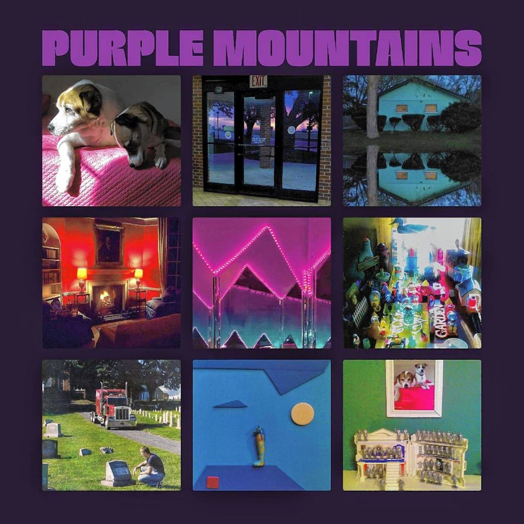 David Berman’s last album, “Purple Mountains,” his first bit of new music in 10 years, was released earlier this year to generally good reviews.