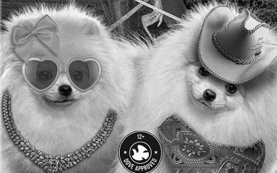 Blaise’s Bad Movie Guide: Puppy Swap, Love Unleashed