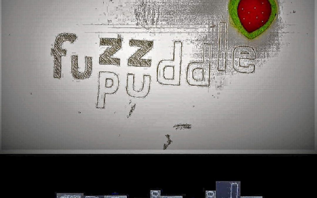 Fuzz Puddle’s Debut is One of the Best Local Records of 2019 
