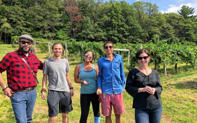 Monte Belmonte Wines: Elsa Petit, the Bordeaux-born prof teaching vine science at UMass