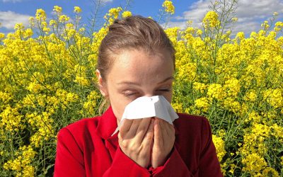 Wellness: How to Beat Fall Allergies