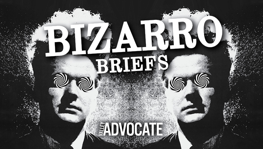 Bizarro Briefs Podcast: Dangerous Cheetos, TP wedding dresses, and animal crises