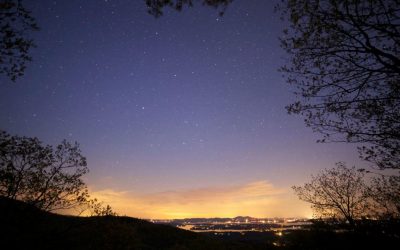 Free Will Astrology: Time to be brassy, saucy, and sassy, Aries