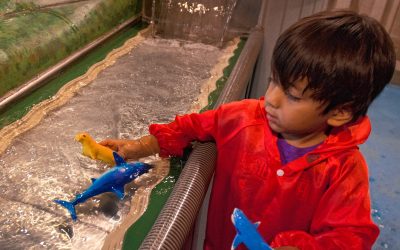 ‘A more calming experience’: Holyoke Children’s Museum holds monthly ‘Sensory Sundays’ for sensory-sensitive kids