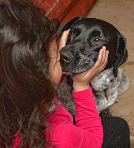 A 3-year-old girl who has been given asylum by Lynne spends time with Lynne’s dog, Penny, Thursday, Jan. 30.