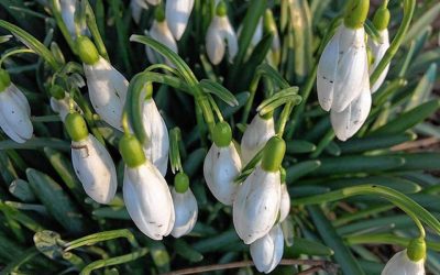 How to entertain yourself when everything’s closed