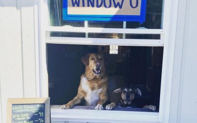 The Beerhunter: Local Breweries Adapt to a New, Locked-Down World