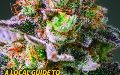 Despite setbacks due to pandemic, future bright for budding cannabis industry