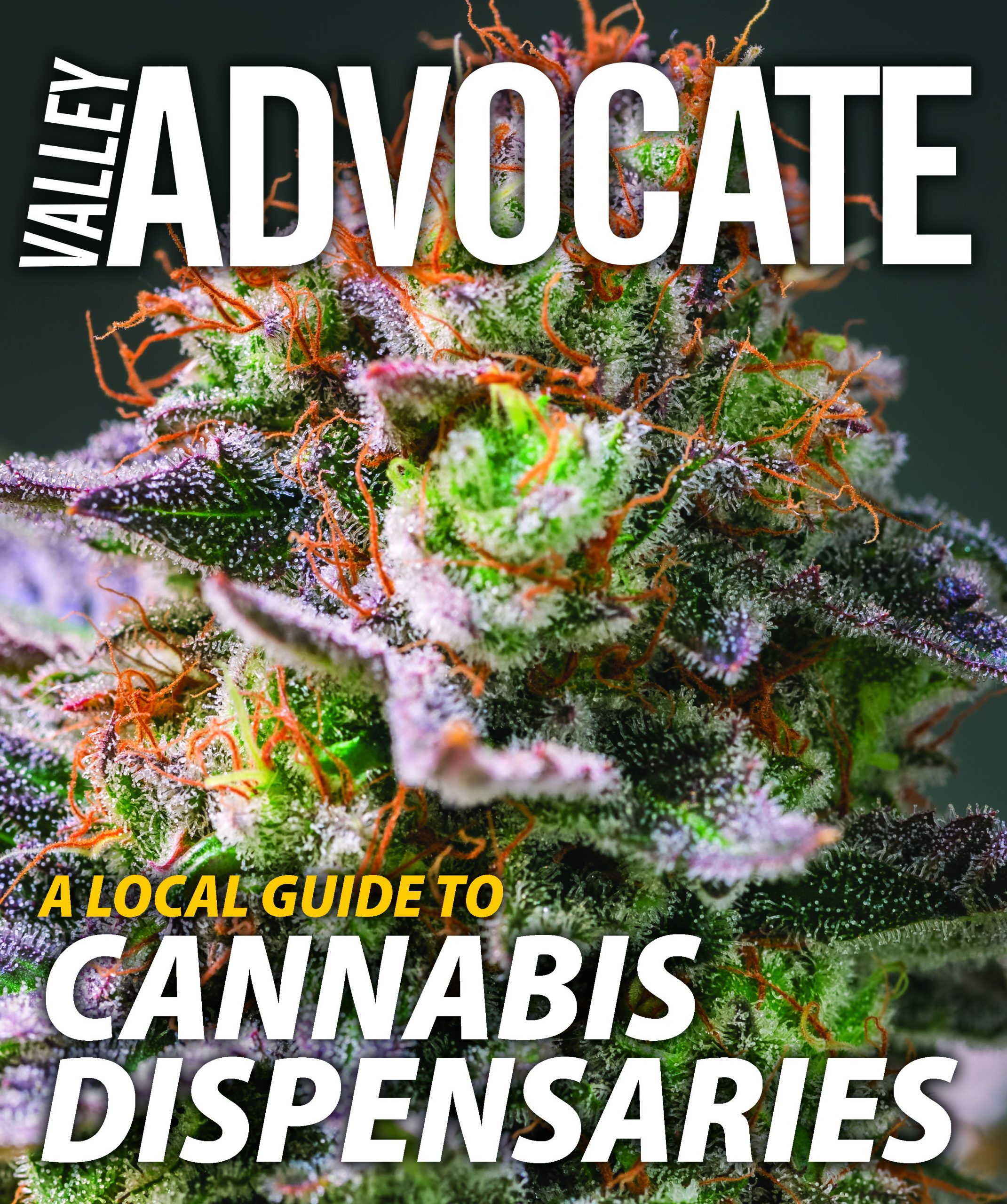 advocate cannabis cover ⋆ Valley Advocate