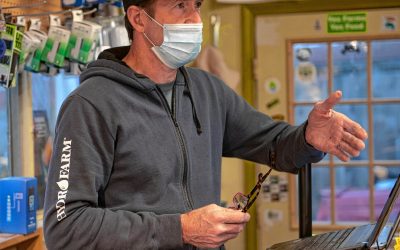 Home grown: Individuals getting into the marijuana-growing game, but stigma remains