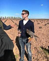 Monte Belmonte Wines: The Bruce Lee of the bottle: How South Deerfield’s Brahm Callahan became an elite Master Sommelier