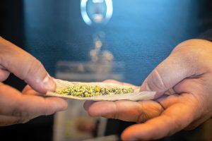 Turning Leaf Centers team leader Steven Robles, of Northampton, demonstrates how to roll an old-fashioned joint, April 18, at the dispensaries new location on King Street in Northampton.