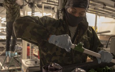 Trailblazers: The first Black-owned marijuana cultivation center on the East Coast has set up shop in Cummington