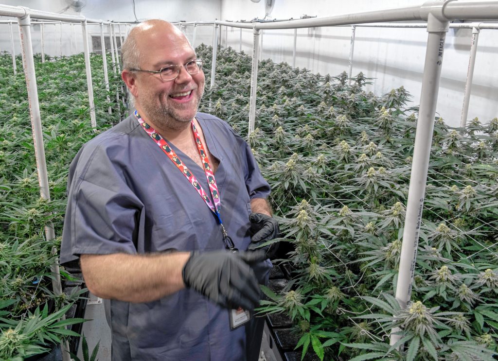 Greg “Chemdog” Krzanowski, the director of cultivation at Canna Provisions, in a grow room in Sheffield.