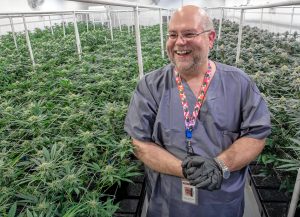 Greg “Chemdog” Krzanowski, the director of cultivation at Canna Provisions, in a grow room in Sheffield.