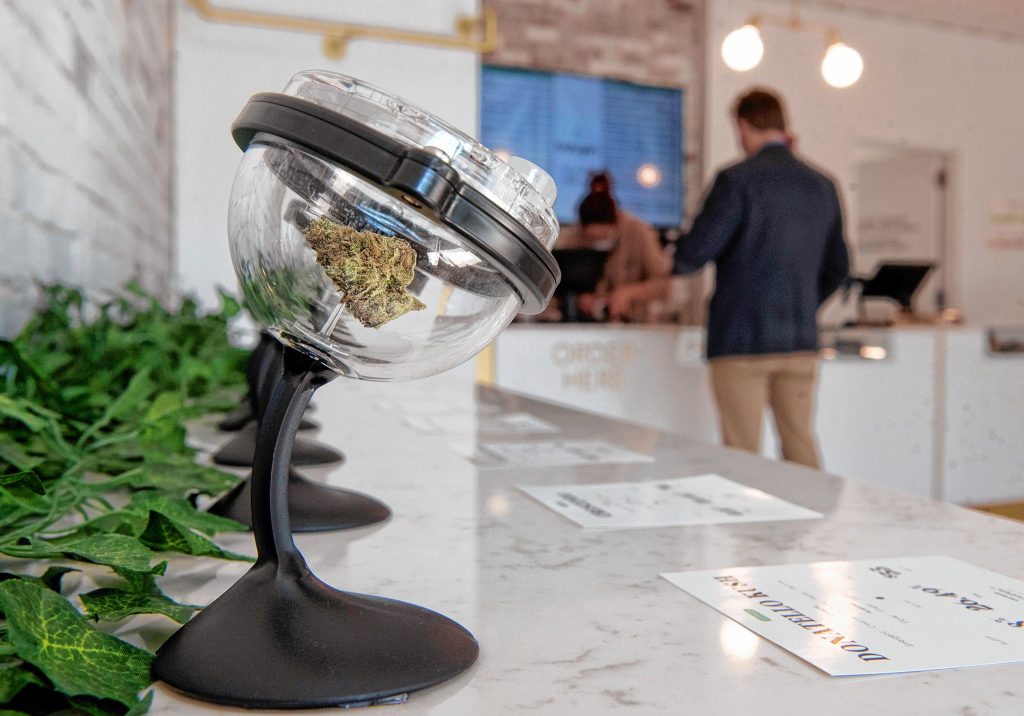 A variety of bud named Donnatello Kush, from Montague grower 253 Farmacy, is one of 15 displayed under magnifying glasses on the “bud bar” at Balagan Cannabis during the Northampton dispensary’s first day of business on Thursday, Oct. 14, 2021.