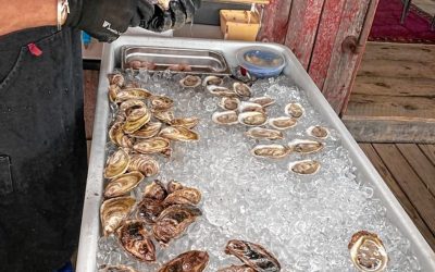 Monte Belmonte Wines: The wine world is your oyster