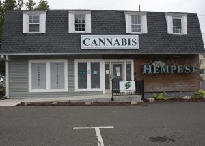 Hempest, 2 Conz St.  Northampton.