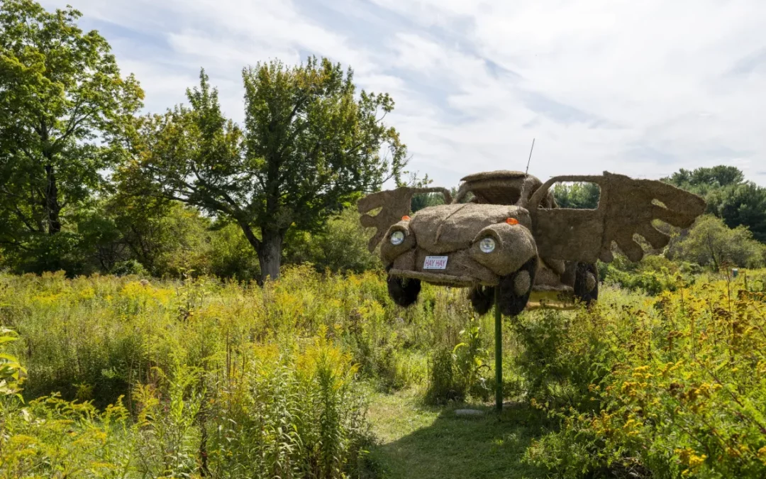 Apples and art, the perfect autumn afternoon?: Eighth biennial Art in the Orchard on view at Park Hill Orchard